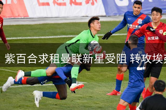 紫百合求租曼联新星受阻 转攻埃弗顿前锋贝托